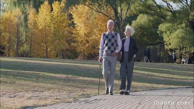 老年夫妇相互搀扶着在公园里散步